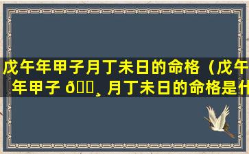 戊午年甲子月丁未日的命格（戊午年甲子 🌸 月丁未日的命格是什么）